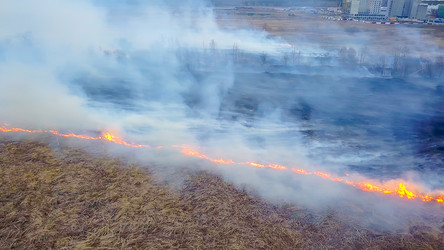 Similar image 21373333