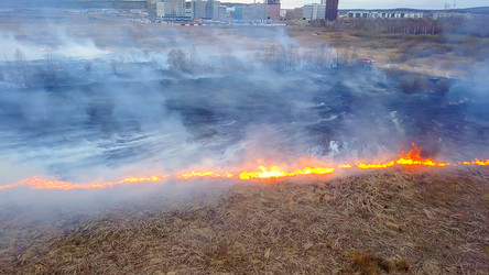 Similar image 21373335