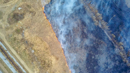 Similar image 21372385