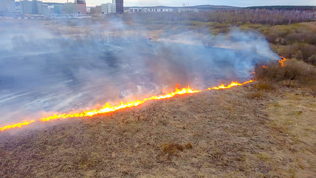 Similar image 21372386