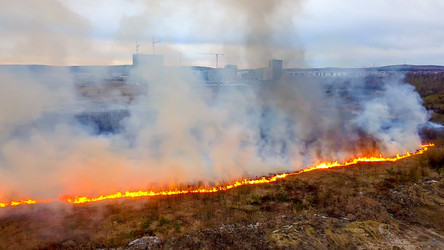 Similar image 21372387