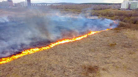 Similar image 21372388