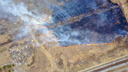 Similar image 21372391