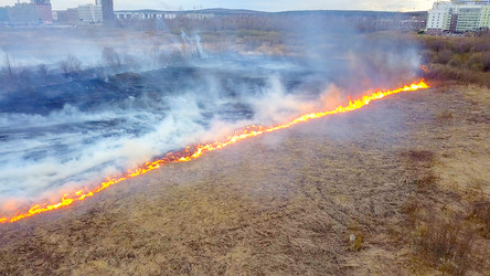 Similar image 21372392