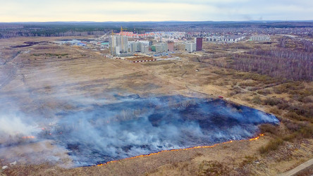 Similar image 21372393