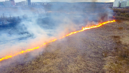 Similar image 21372394