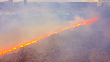 Similar image 21372398