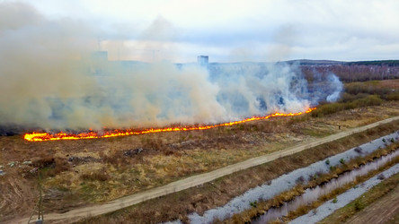 Similar image 21372556