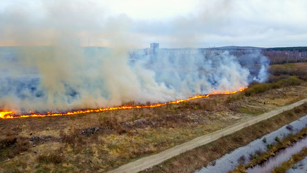 Similar image 21372559