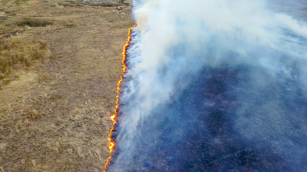 Similar image 21372560