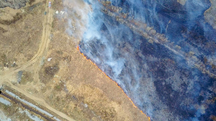 Similar image 21372562