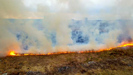 Similar image 21372563