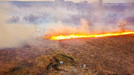 Similar image 21372564