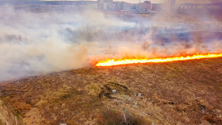 Similar image 21372565