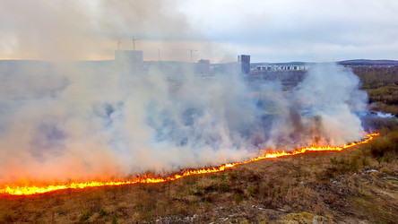 Similar image 21372567