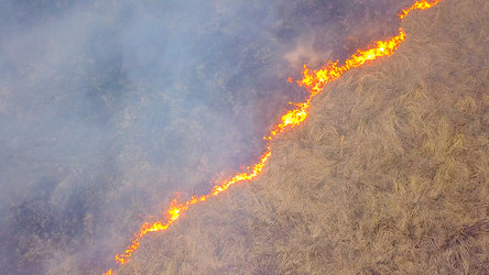 Similar image 21372569