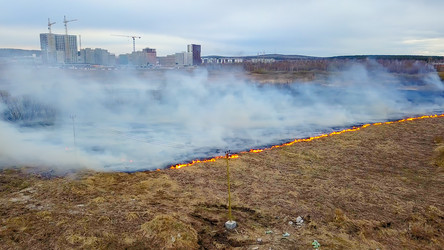 Similar image 21372573