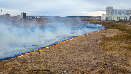 Similar image 21372575