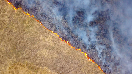 Similar image 21372577