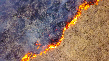 Similar image 21372582