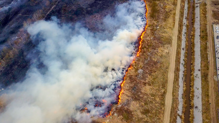 Similar image 21372583