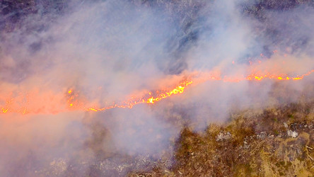 Similar image 21372588