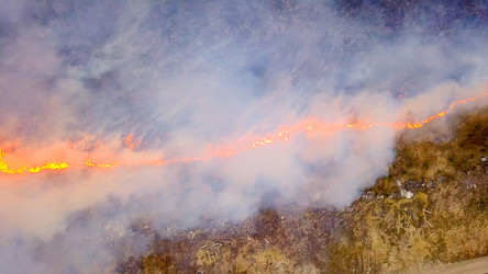 Similar image 21372589