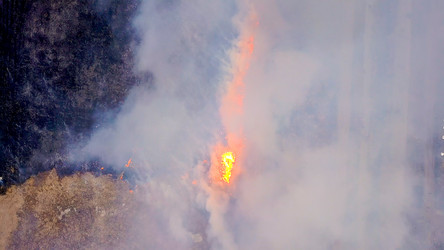 Similar image 21372594