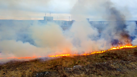 Similar image 21372597