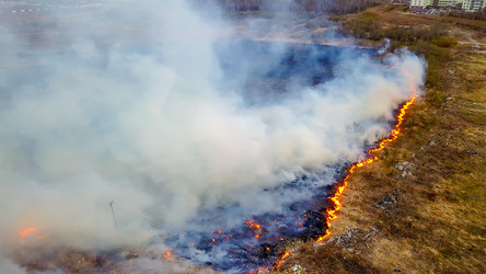 Similar image 21372600