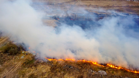 Similar image 21372601