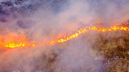 Similar image 21372607