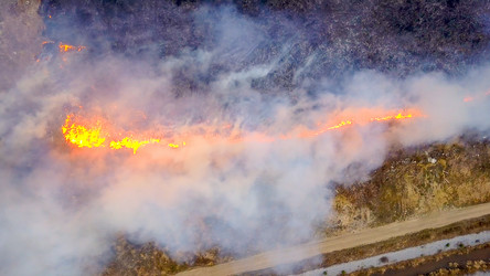 Similar image 21372845