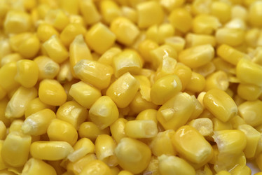 Similar image 21344187