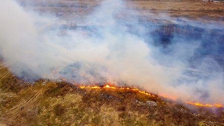 Similar image 21372619