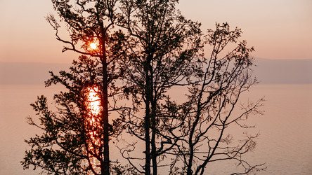 Similar image 21365399