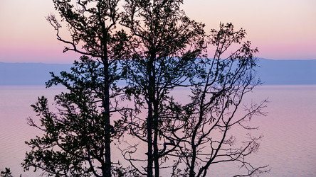 Similar image 21372915