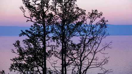 Similar image 21373048