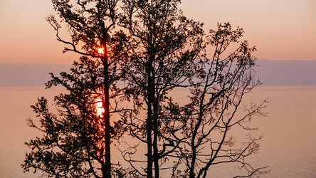 Similar image 21373186