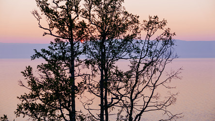 Similar image 21373535