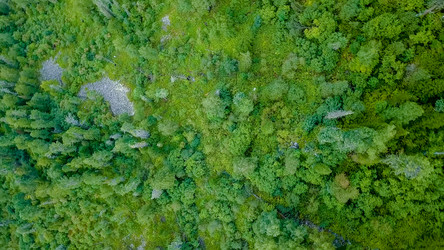 Similar image 21365527