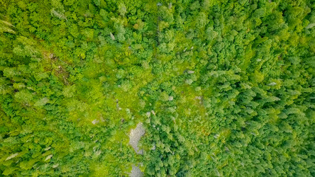 Similar image 21373408