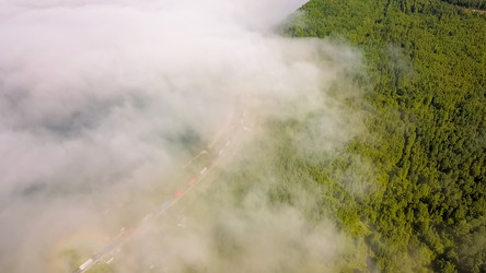 Similar image 21373589