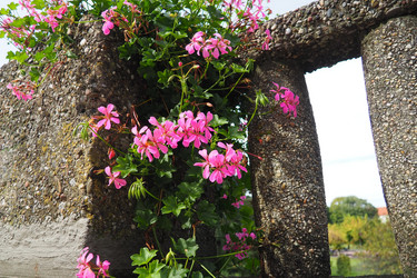 Similar image 21374744