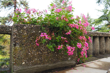 Similar image 21374745