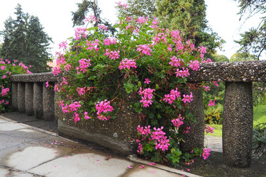 Similar image 21374746