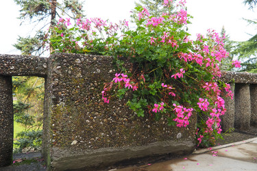 Similar image 21374747