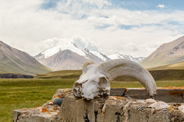 Similar image 21364439