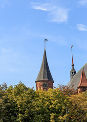 Similar image 21364976