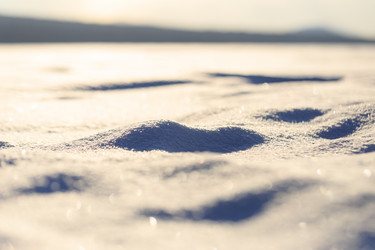 Similar image 21372753